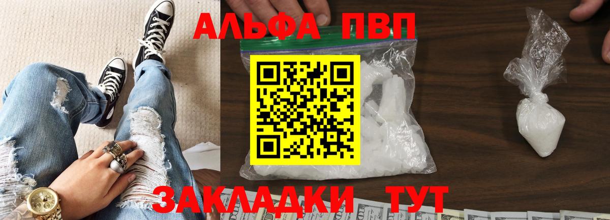 Альфа ПВП СК КРИС Губкин