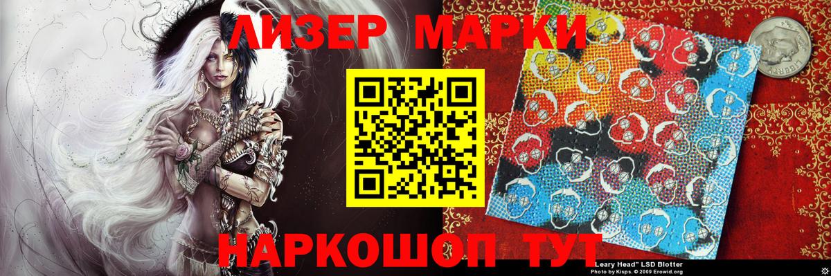 Губкин  Наркотические марки 1,5мг  Вход с VPN 