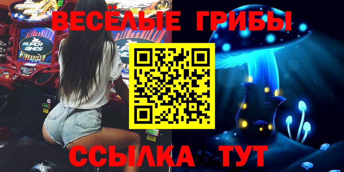 Псилоцибиновые грибы Psilocybine cubensis  купить   Губкин  Вход с VPN 